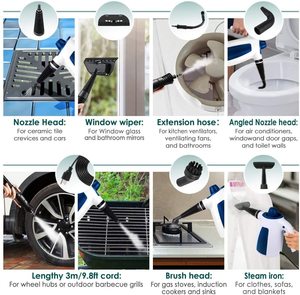 YRIGHT Handheld Pressurised Steam Cleaner's accessories.